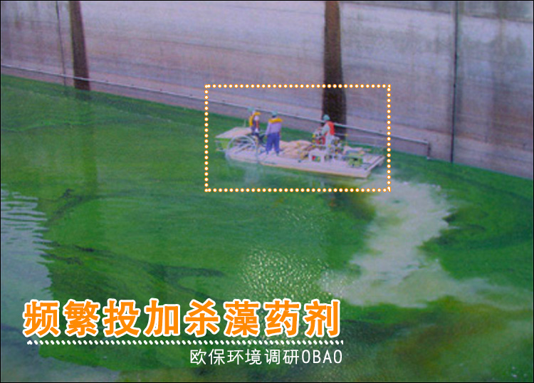 蓝藻治理.jpg