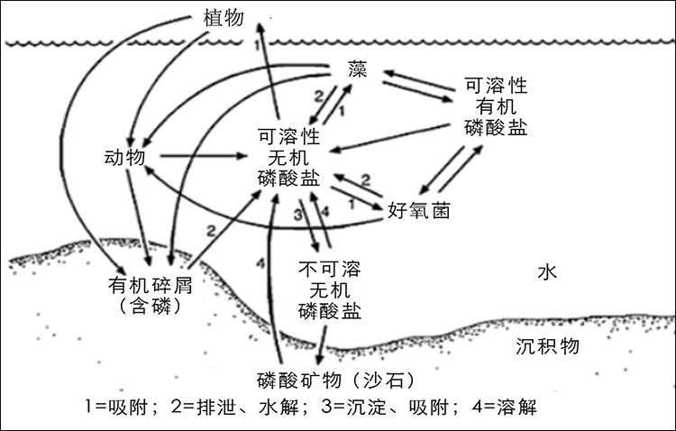 除磷剂