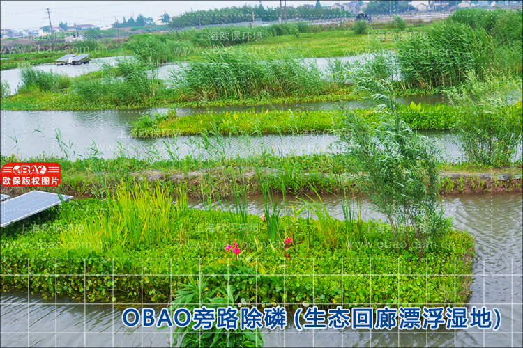 除磷.jpg