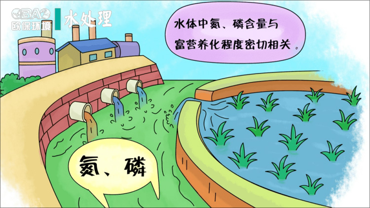 水体富营养化