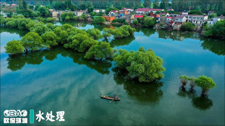 蓝藻治理.jpg