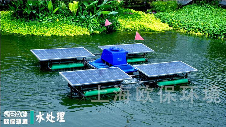 蓝藻治理.jpg