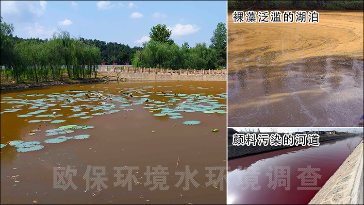 裸藻