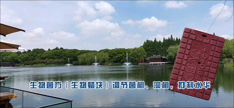 生物蜡块