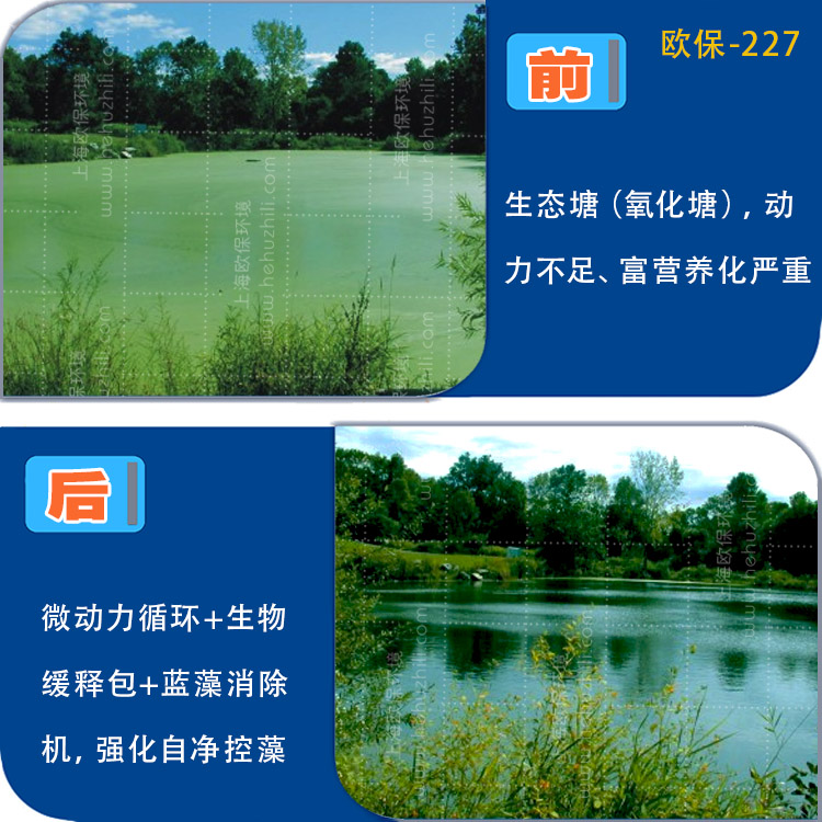 蓝藻治理.jpg