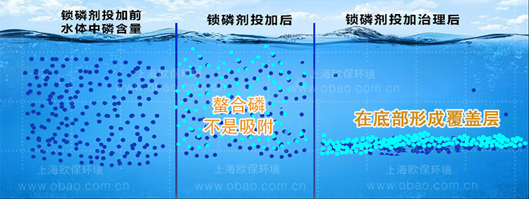 锁磷剂的除磷过程