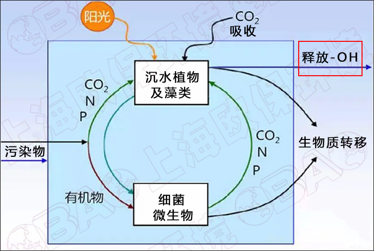 湖泊治理.jpg