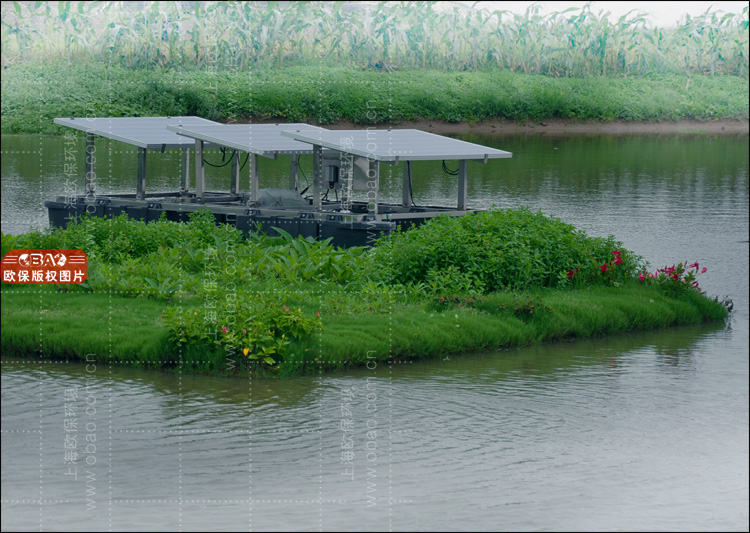 蓝藻水华治理.jpg
