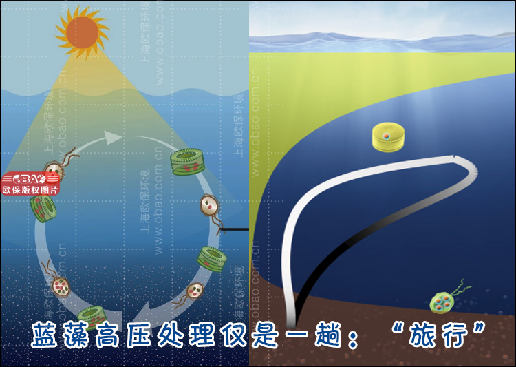 深井灭藻装置
