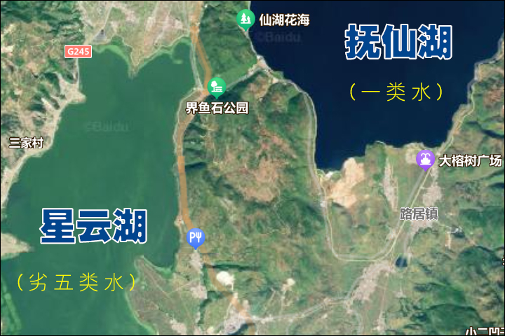 锁磷剂.jpg