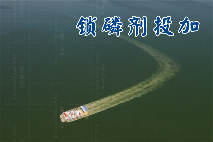 除磷剂