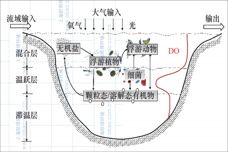 生物分解耗氧