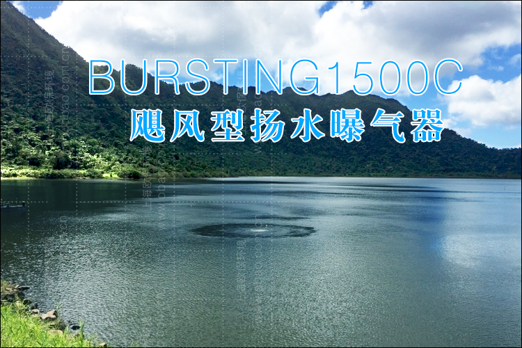 扬水曝气器