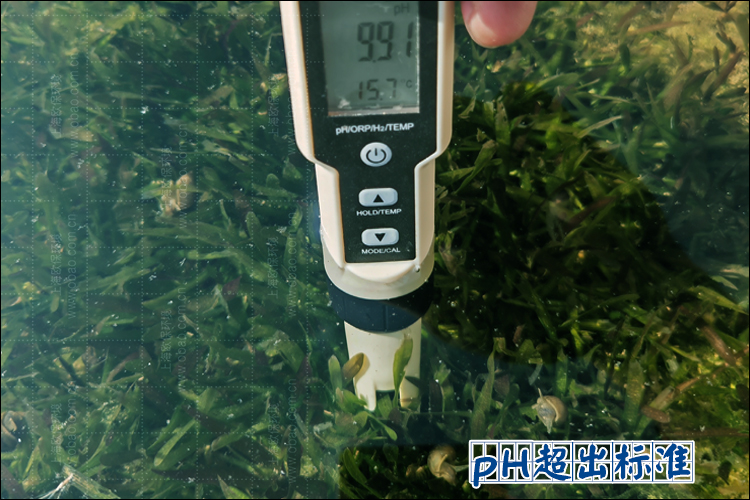PH值偏高