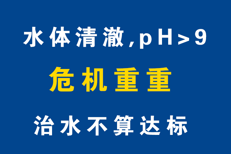 PH值升高