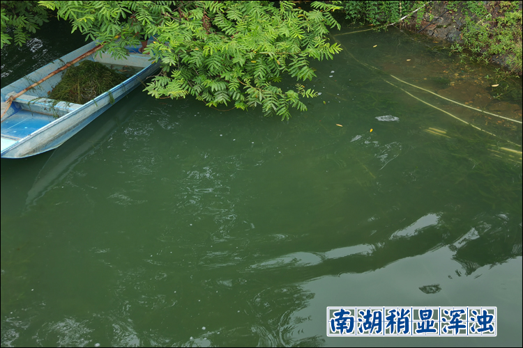 南湖