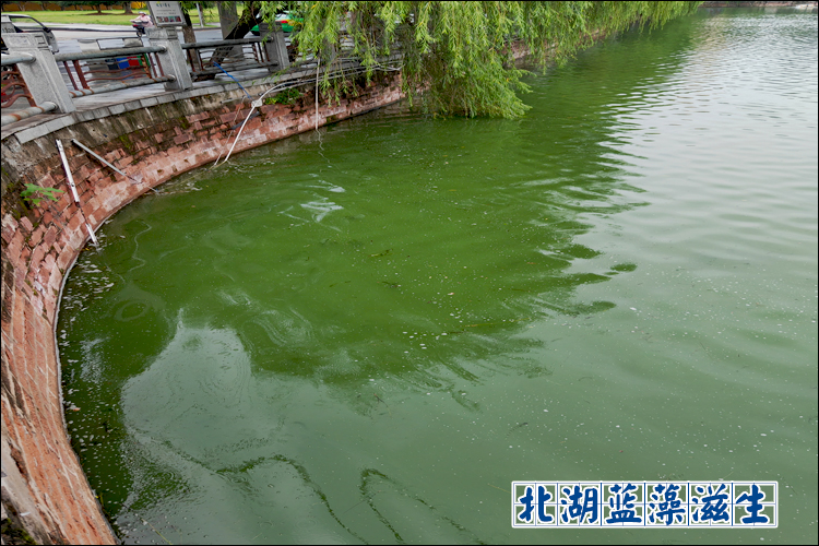 北湖