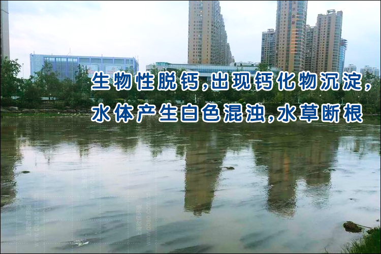 生物脱钙