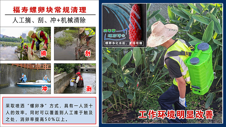螺卵净.jpg