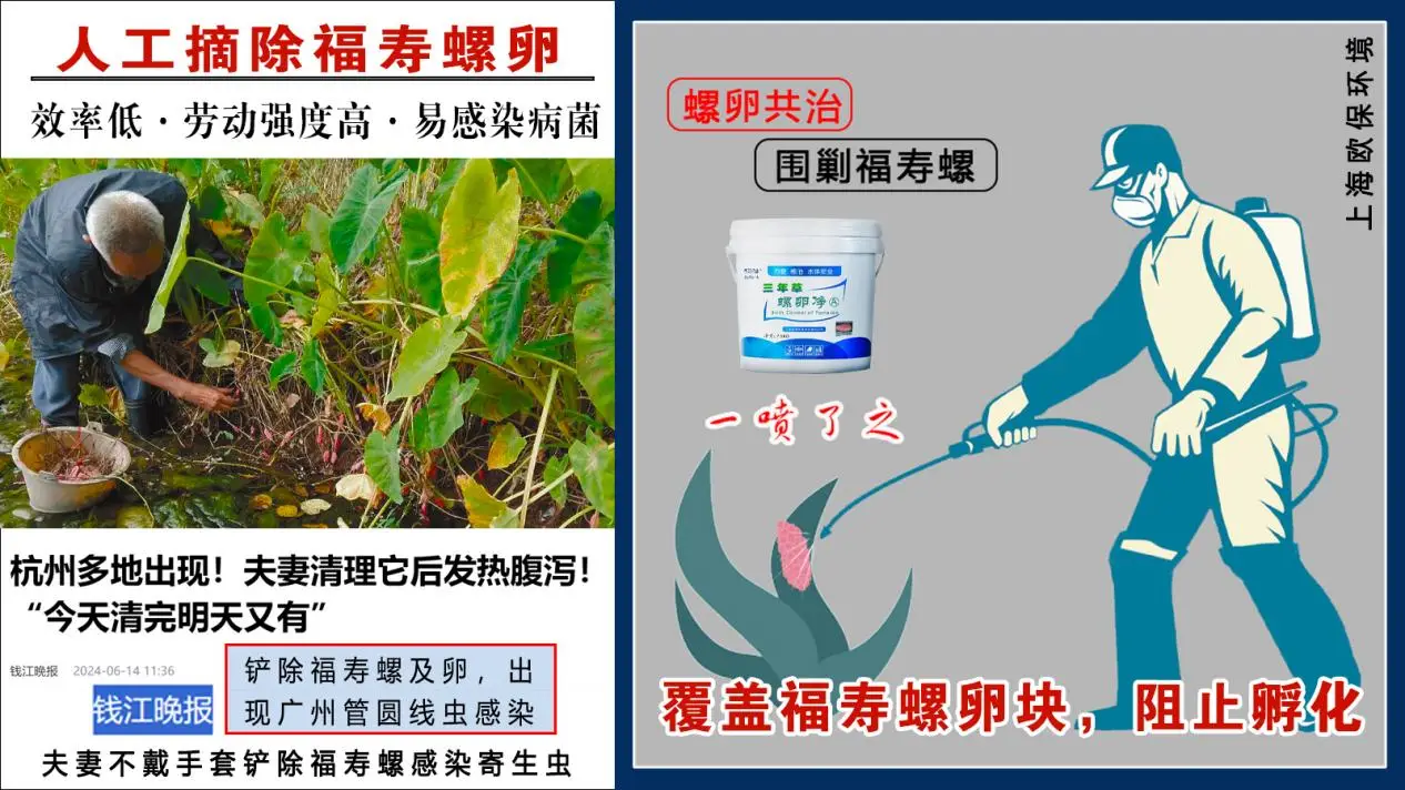 消灭福寿螺
