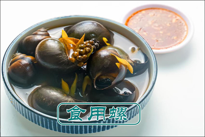 福寿螺