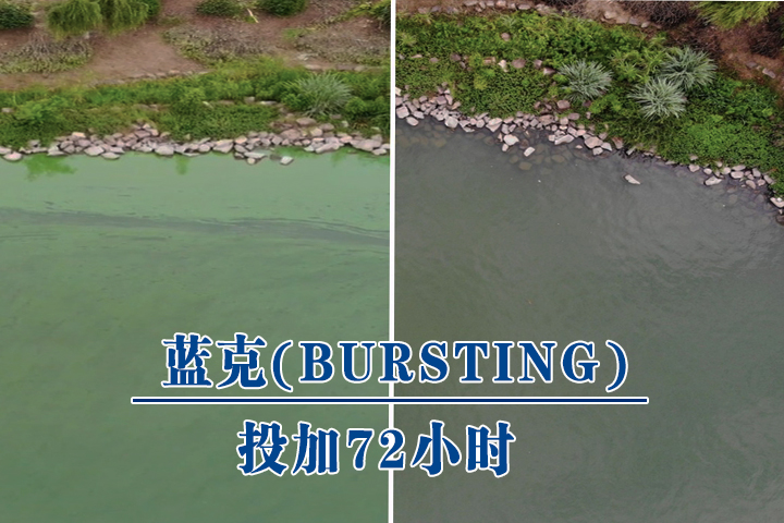 蓝克