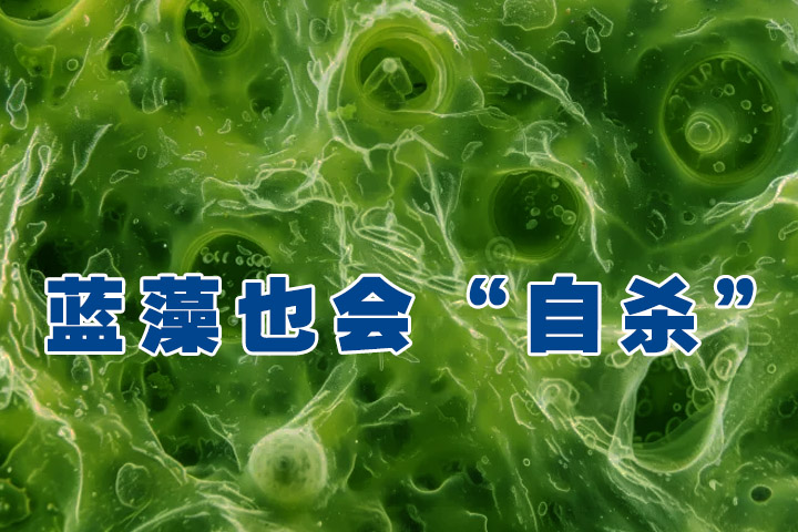 Programmed Cell Death,