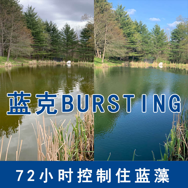 蓝藻应急处理.jpg