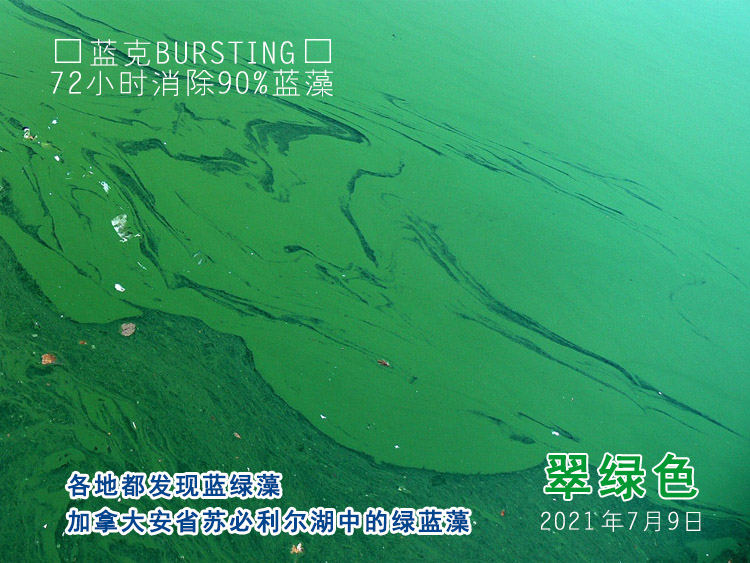 加拿大安省苏必利尔湖