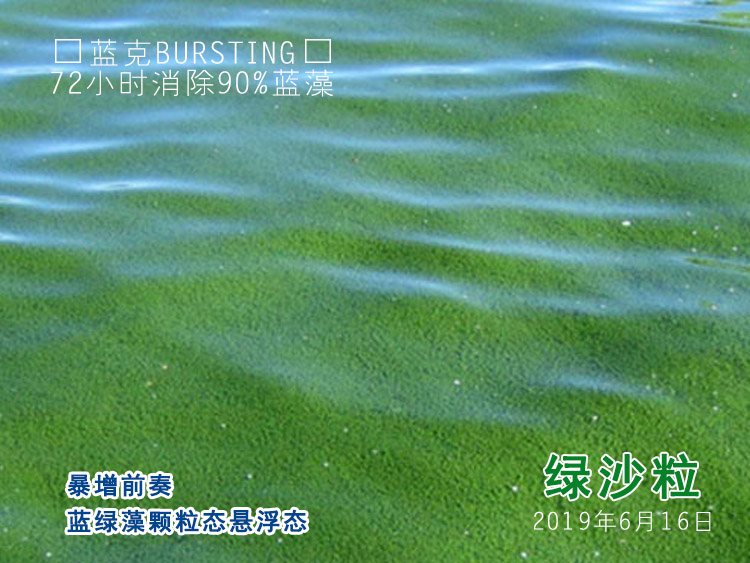 蓝克BURSTING