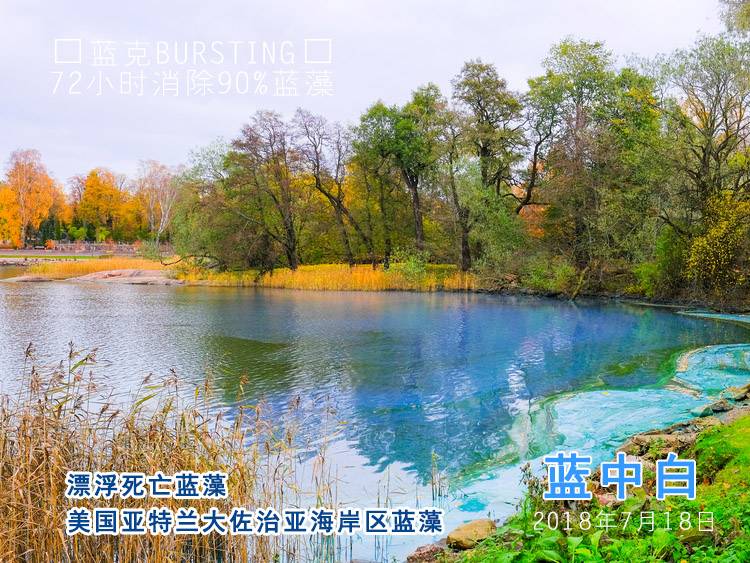 美国亚特兰大佐治亚海岸区