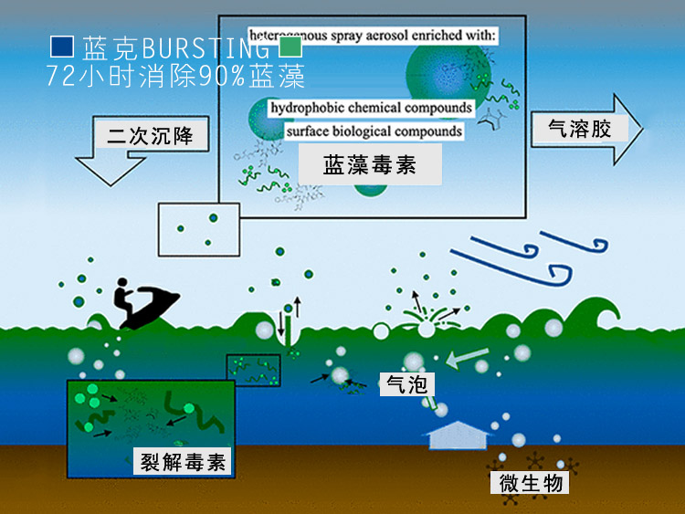 蓝藻毒素以气溶胶的形式污染空气
