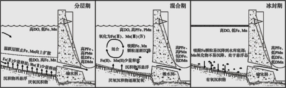 铁锰超标原因