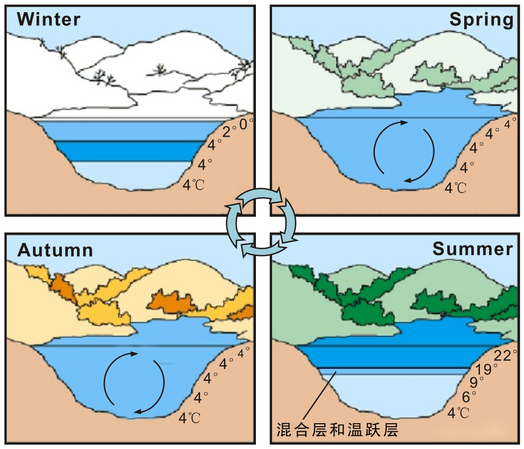 水库分层