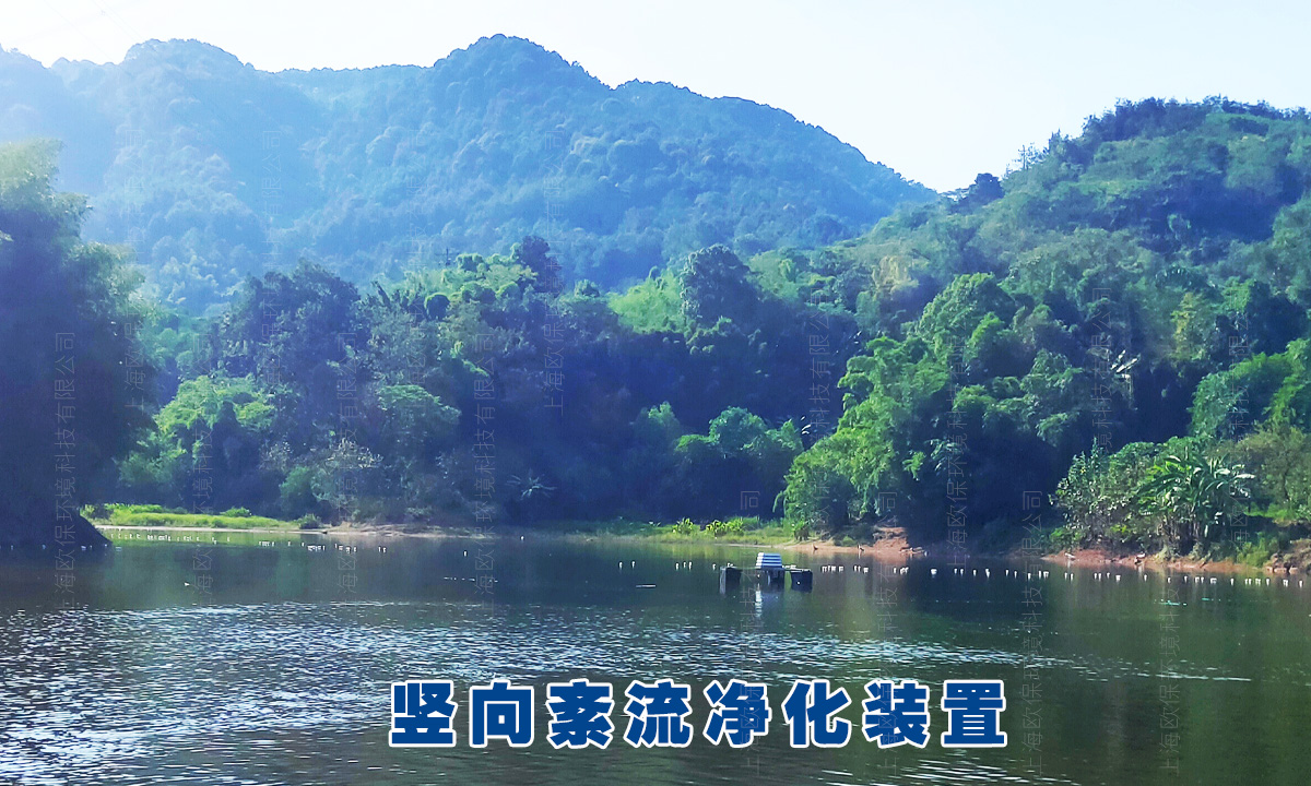 竖向紊流净化装置