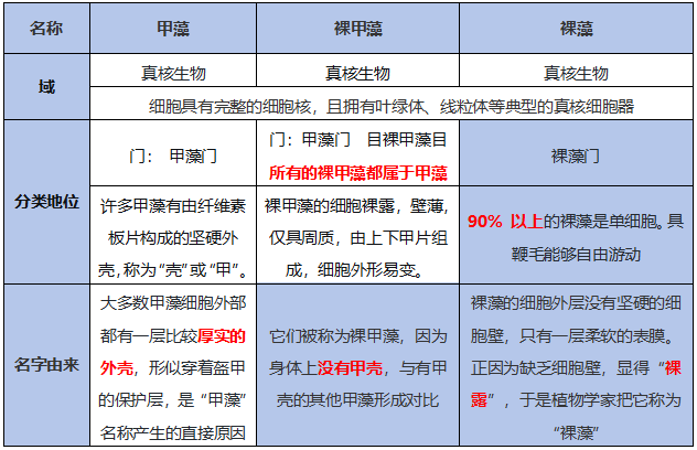 识别裸藻、甲藻与裸甲藻