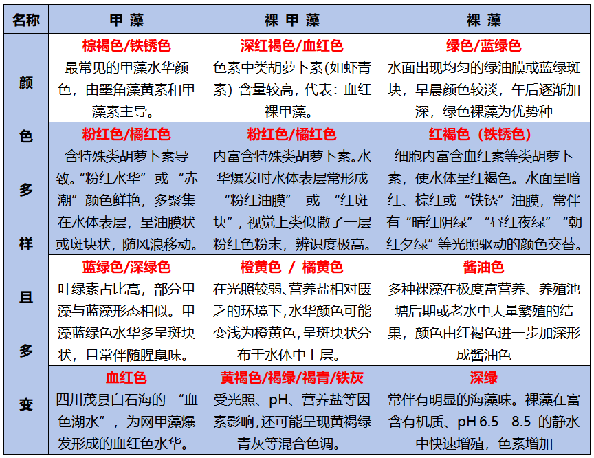 识别裸藻、甲藻与裸甲藻