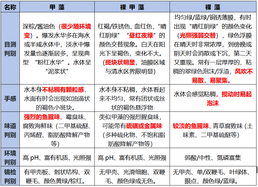 识别裸藻、甲藻与裸甲藻