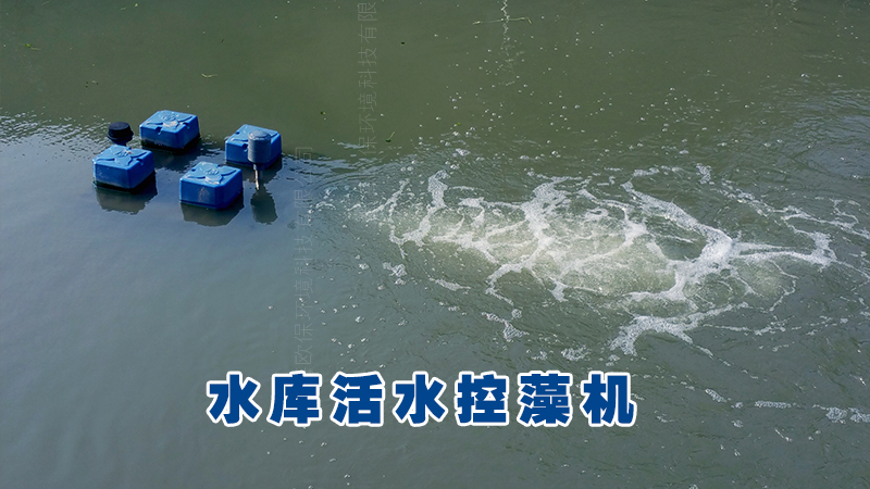 裸藻水华控藻机