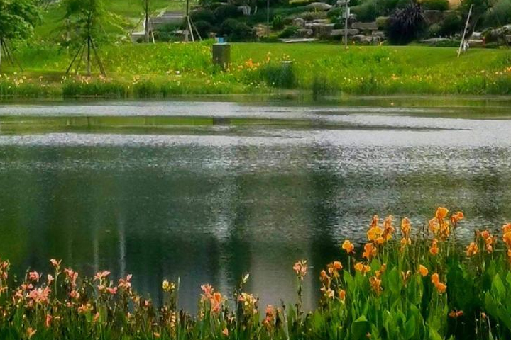 景观水处理 景观水处理