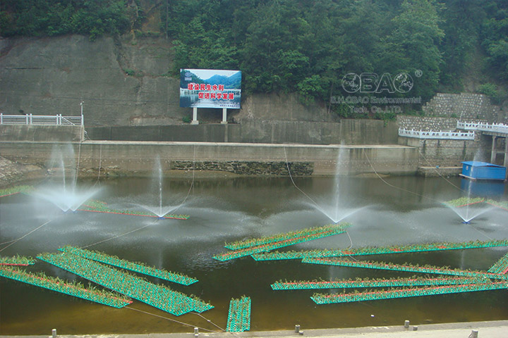 水库蓝藻治理