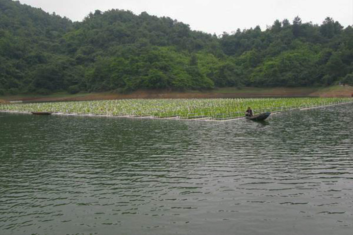 水库蓝藻治理