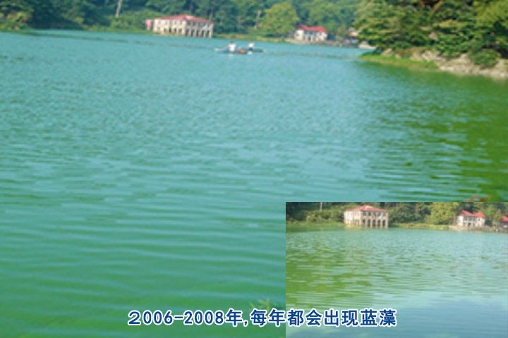 水库蓝藻 水库蓝藻