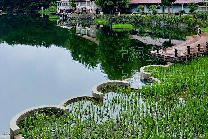 水库生态修复 水库生态修复