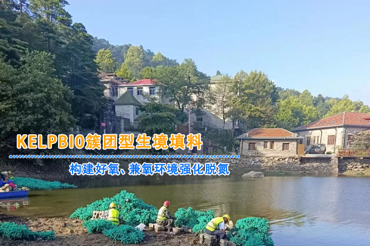 簇团型生境填料 簇团型生境填料