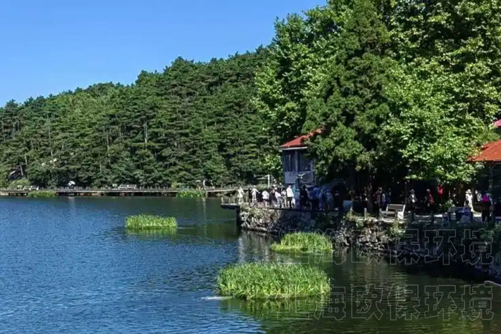 曝气浮岛 曝气浮岛