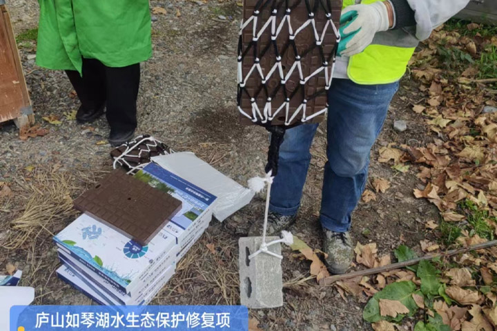 生物蜡块 生物蜡块