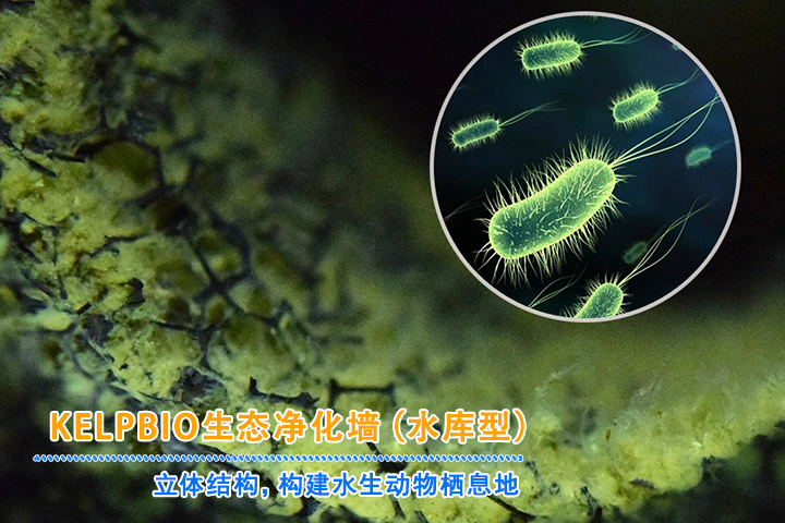 幕帘式生境填料 幕帘式生境填料