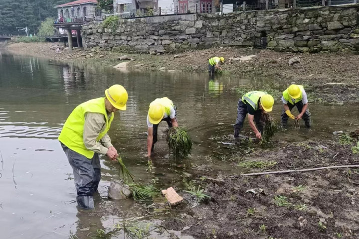 水下森林 水下森林