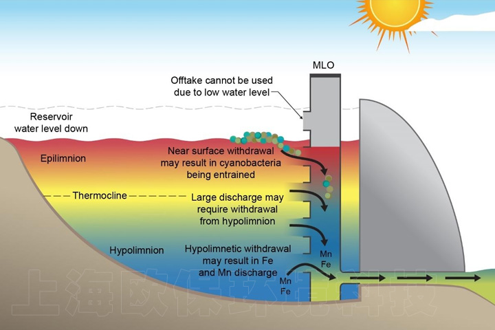 水库水生态修复